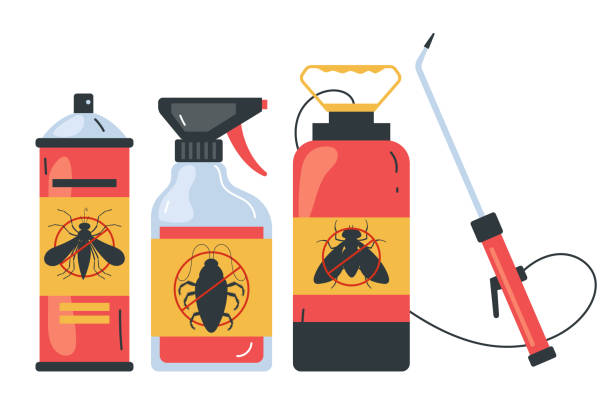 Best Insect Control  in Coplay, PA